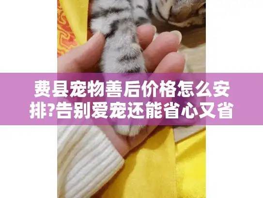 费县宠物善后价格怎么安排?告别爱宠还能省心又省钱 费县宠物善后价格怎么安排?告别爱宠还能省心又省钱