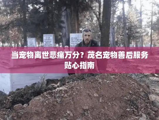 当宠物离世悲痛万分?茂名宠物善后服务贴心指南 当宠物离世悲痛万分?茂名宠物善后服务贴心指南