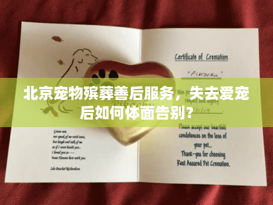 北京宠物殡葬善后服务，失去爱宠后如何体面告别？