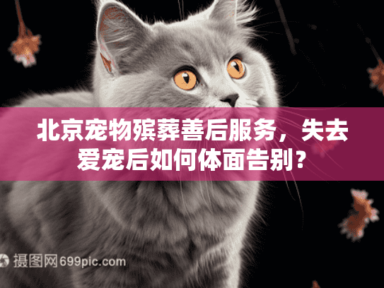 北京宠物殡葬善后服务，失去爱宠后如何体面告别？