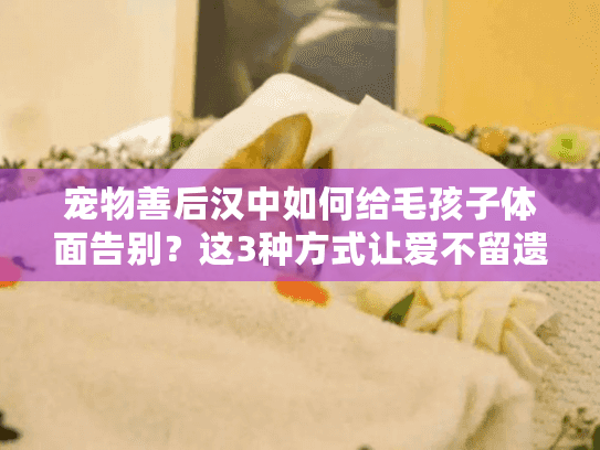 宠物善后汉中如何给毛孩子体面告别？这3种方式让爱不留遗憾