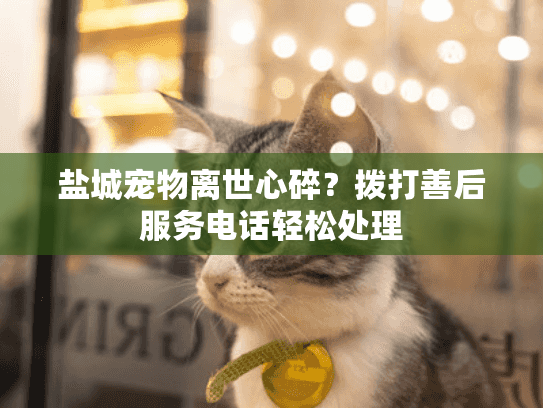盐城宠物离世心碎？拨打善后服务电话轻松处理