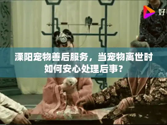 溧阳宠物善后服务，当宠物离世时如何安心处理后事？