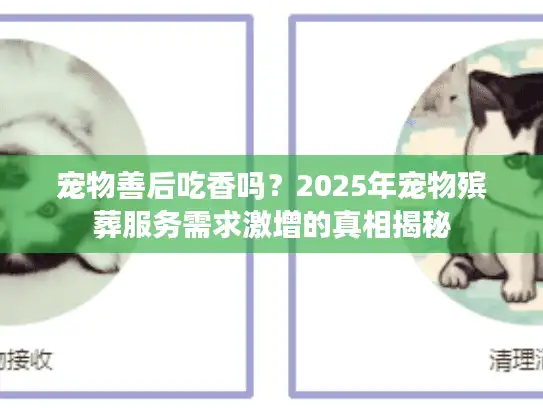 宠物善后吃香吗？2025年宠物殡葬服务需求激增的真相揭秘