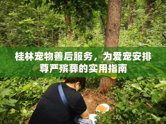 桂林宠物善后服务,为爱宠安排尊严殡葬的实用指南 桂林宠物善后服务,为爱宠安排尊严殡葬的实用指南