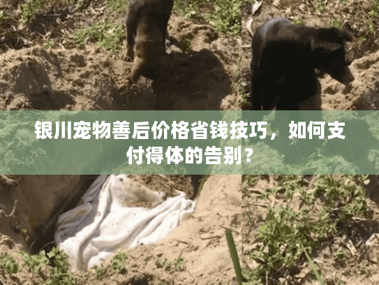 银川宠物善后价格省钱技巧,如何支付得体的告别? 银川宠物善后价格省钱技巧,如何支付得体的告别?