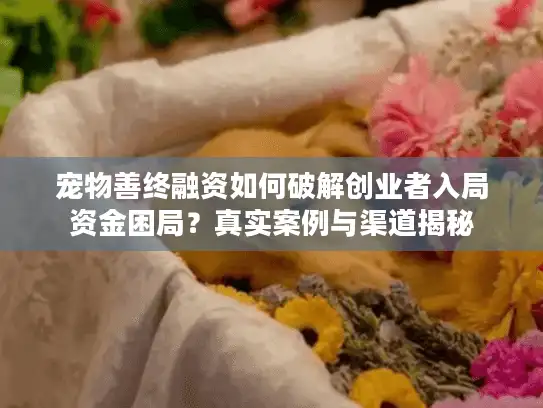 宠物善终融资如何破解创业者入局资金困局？真实案例与渠道揭秘