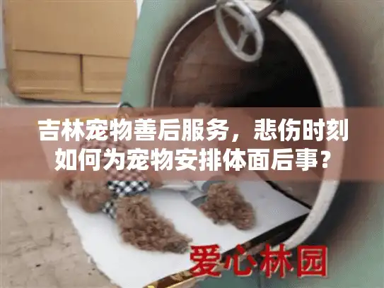 吉林宠物善后服务，悲伤时刻如何为宠物安排体面后事？