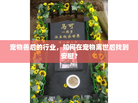 宠物善后的行业，如何在宠物离世后找到安慰？