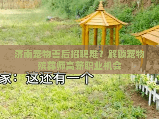 济南宠物善后招聘难？解锁宠物殡葬师高薪职业机会