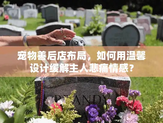 宠物善后店布局，如何用温馨设计缓解主人悲痛情感？
