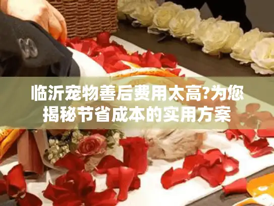 临沂宠物善后费用太高?为您揭秘节省成本的实用方案