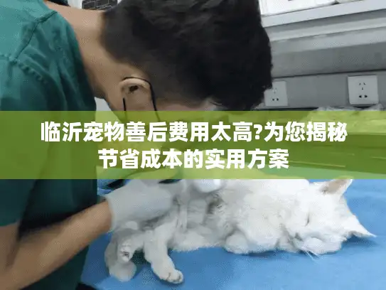 临沂宠物善后费用太高?为您揭秘节省成本的实用方案