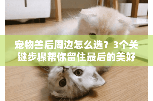 宠物善后周边怎么选？3个关键步骤帮你留住最后的美好