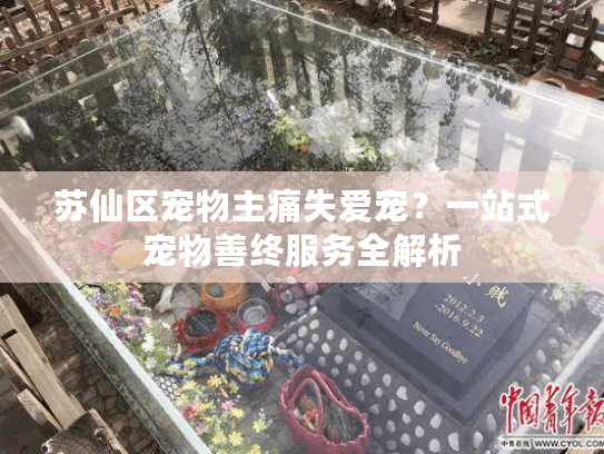 苏仙区宠物主痛失爱宠？一站式宠物善终服务全解析