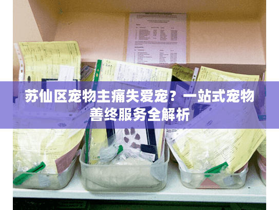 苏仙区宠物主痛失爱宠？一站式宠物善终服务全解析
