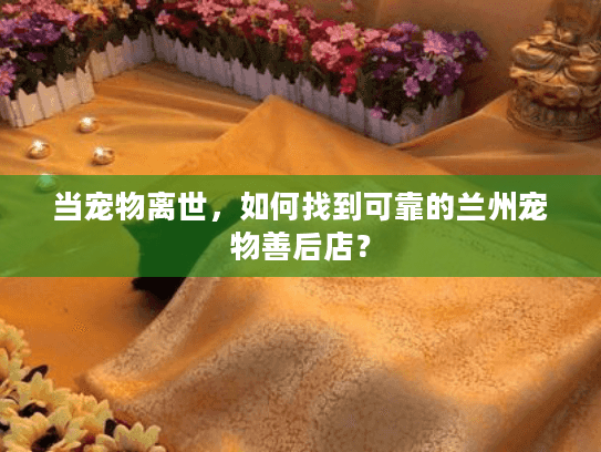 当宠物离世，如何找到可靠的兰州宠物善后店？