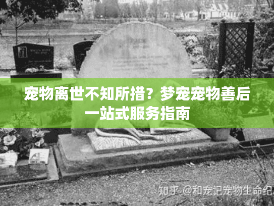 宠物离世不知所措?梦宠宠物善后一站式服务指南 宠物离世不知所措?梦宠宠物善后一站式服务指南