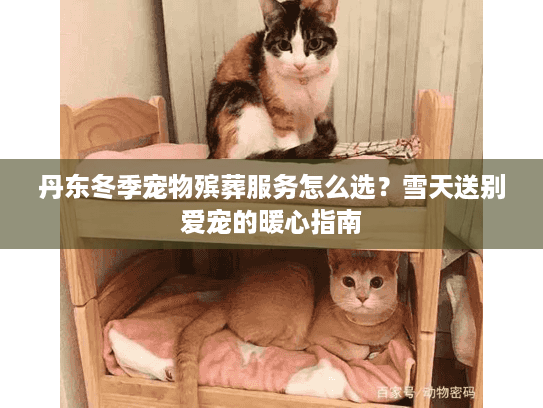 丹东冬季宠物殡葬服务怎么选？雪天送别爱宠的暖心指南