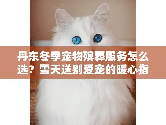 丹东冬季宠物殡葬服务怎么选？雪天送别爱宠的暖心指南