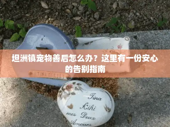 坦洲镇宠物善后怎么办？这里有一份安心的告别指南