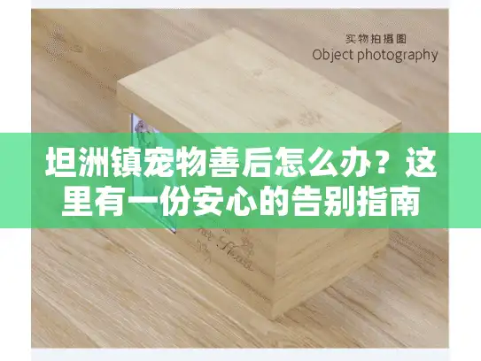 坦洲镇宠物善后怎么办？这里有一份安心的告别指南