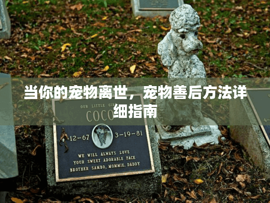 当你的宠物离世,宠物善后方法详细指南 当你的宠物离世,宠物善后方法详细指南