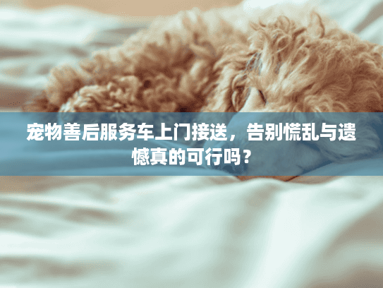 宠物善后服务车上门接送，告别慌乱与遗憾真的可行吗？