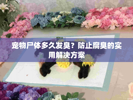 宠物尸体多久发臭?防止腐臭的实用解决方案 宠物尸体多久发臭?防止腐臭的实用解决方案