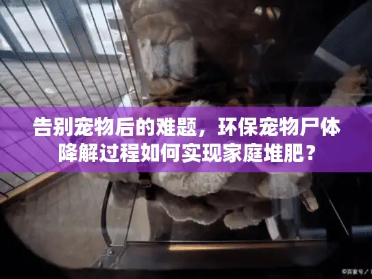 告别宠物后的难题，环保宠物尸体降解过程如何实现家庭堆肥？