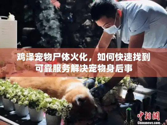 鸡泽宠物尸体火化，如何快速找到可靠服务解决宠物身后事
