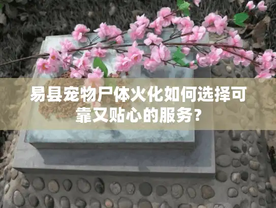 易县宠物尸体火化如何选择可靠又贴心的服务？