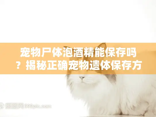 宠物尸体泡酒精能保存吗？揭秘正确宠物遗体保存方案