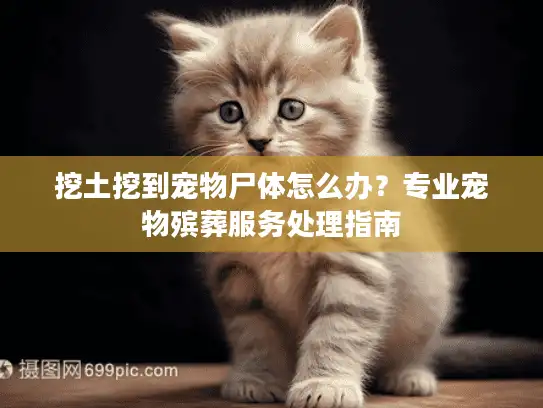 挖土挖到宠物尸体怎么办？专业宠物殡葬服务处理指南