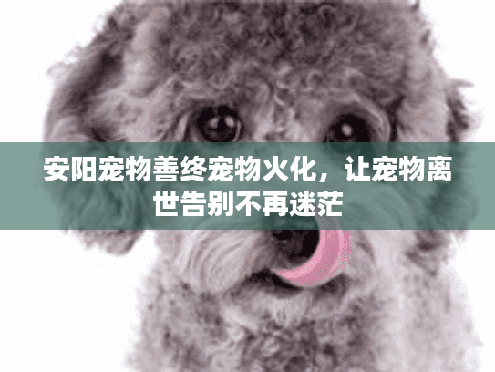 安阳宠物善终宠物火化，让宠物离世告别不再迷茫