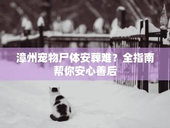 漳州宠物尸体安葬难?全指南帮你安心善后 漳州宠物尸体安葬难?全指南帮你安心善后