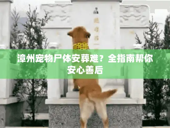 漳州宠物尸体安葬难?全指南帮你安心善后 漳州宠物尸体安葬难?全指南帮你安心善后