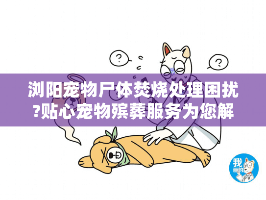 浏阳宠物尸体焚烧处理困扰?贴心宠物殡葬服务为您解忧