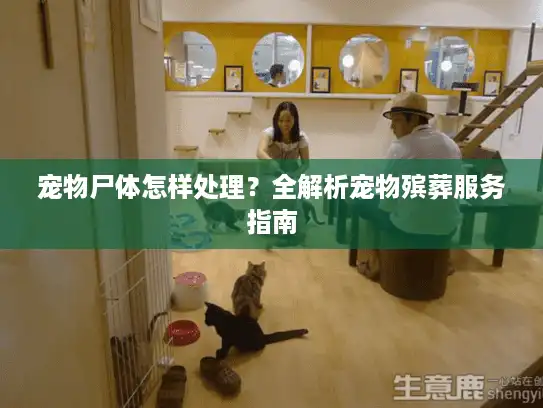 宠物尸体怎样处理？全解析宠物殡葬服务指南