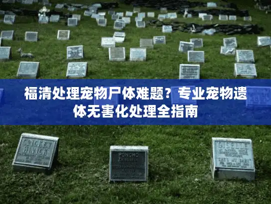 福清处理宠物尸体难题？专业宠物遗体无害化处理全指南