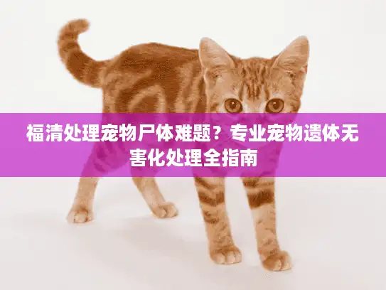 福清处理宠物尸体难题？专业宠物遗体无害化处理全指南