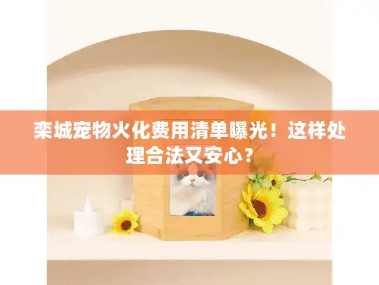 栾城宠物火化费用清单曝光！这样处理合法又安心？