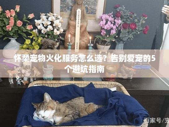 怀柔宠物火化服务怎么选?告别爱宠的5个避坑指南 怀柔宠物火化服务怎么选?告别爱宠的5个避坑指南