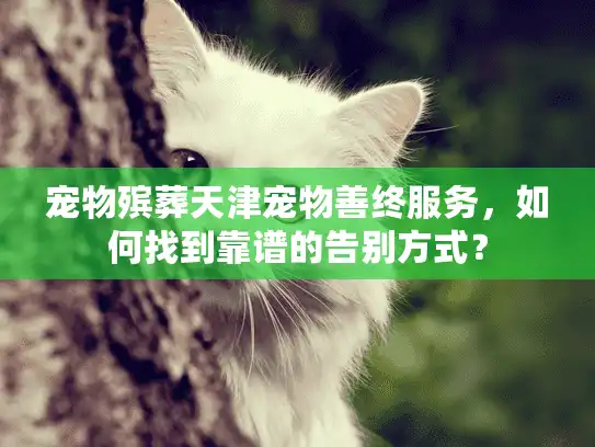 宠物殡葬天津宠物善终服务，如何找到靠谱的告别方式？