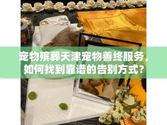 宠物殡葬天津宠物善终服务，如何找到靠谱的告别方式？
