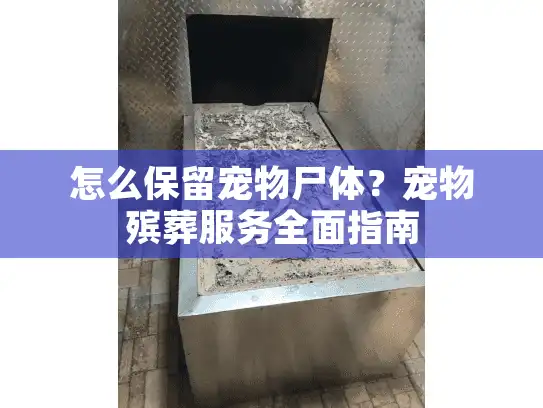 怎么保留宠物尸体？宠物殡葬服务全面指南