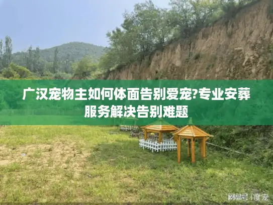 广汉宠物主如何体面告别爱宠?专业安葬服务解决告别难题