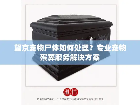 望京宠物尸体如何处理?专业宠物殡葬服务解决方案 望京宠物尸体如何处理?专业宠物殡葬服务解决方案