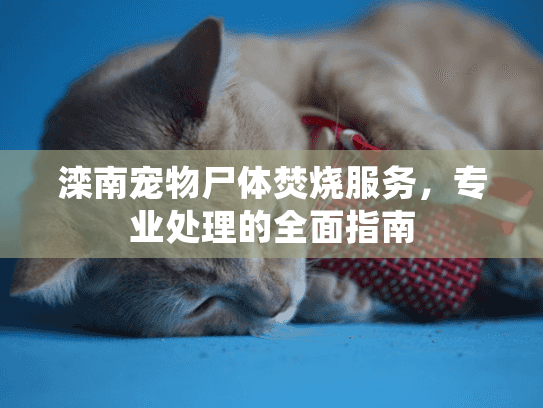 滦南宠物尸体焚烧服务,专业处理的全面指南 滦南宠物尸体焚烧服务,专业处理的全面指南
