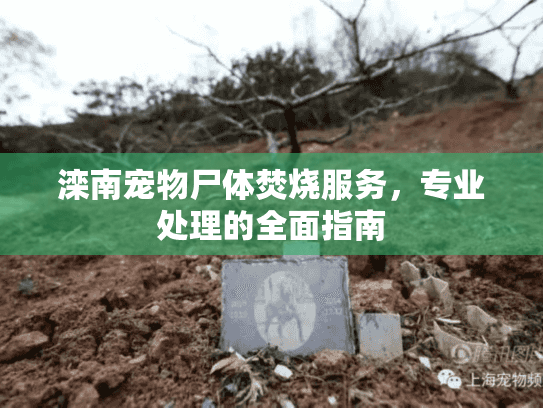 滦南宠物尸体焚烧服务,专业处理的全面指南 滦南宠物尸体焚烧服务,专业处理的全面指南